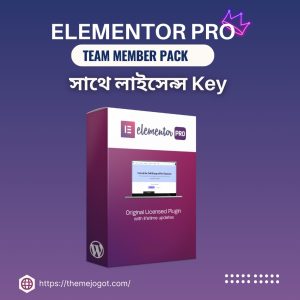 Elementor Pro Team Members Subscription